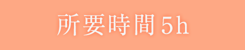 所要時間5h